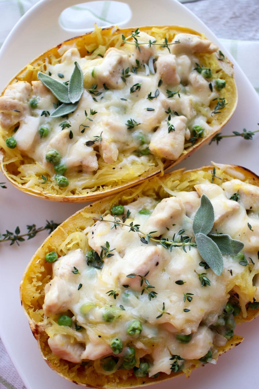 Spaghetti squash close up 