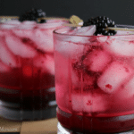 Skinny Double Berry Vodka Spritzer