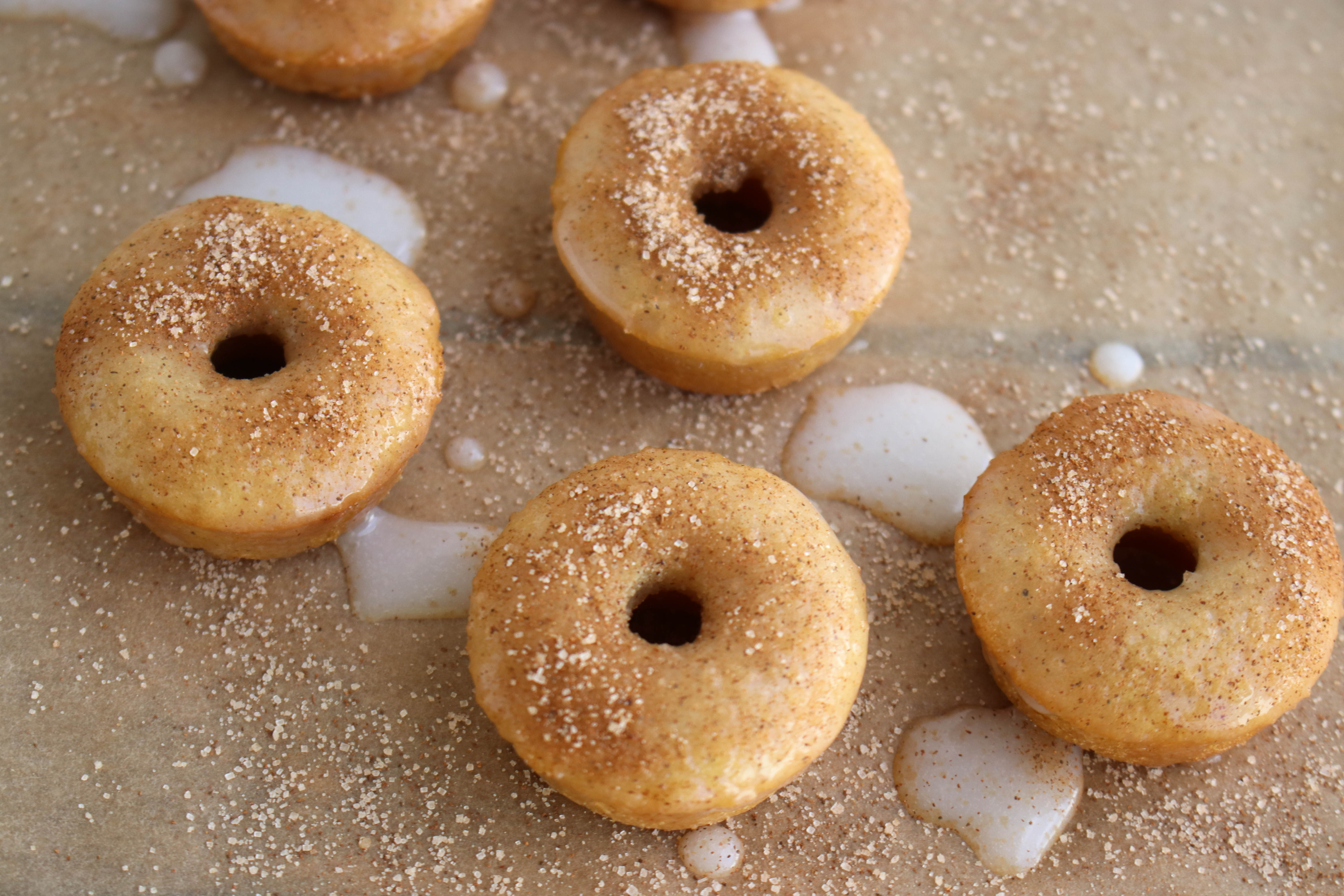 Cinnamon Sugar Sour Cream Doughnuts