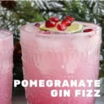 Pomegranate Gin Fizz