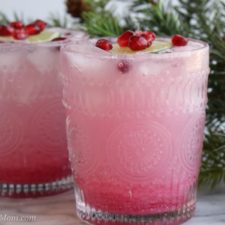 Pomegranate Gin Fizz Cocktail