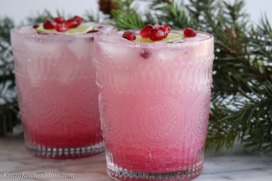 Pomegranate Gin Fizz Cocktail