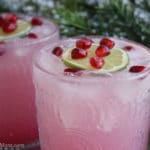 Pomegranate Gin Fizz Cocktail