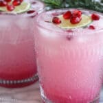 Pomegranate Gin Fizz Cocktail