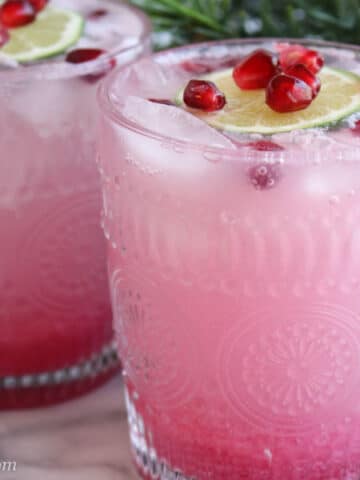 Pomegranate Gin Fizz Cocktail