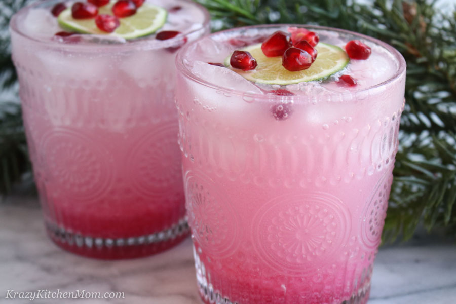 Pomegranate Gin Fizz Cocktail
