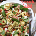 Tortellini Spinach Pasta Salad