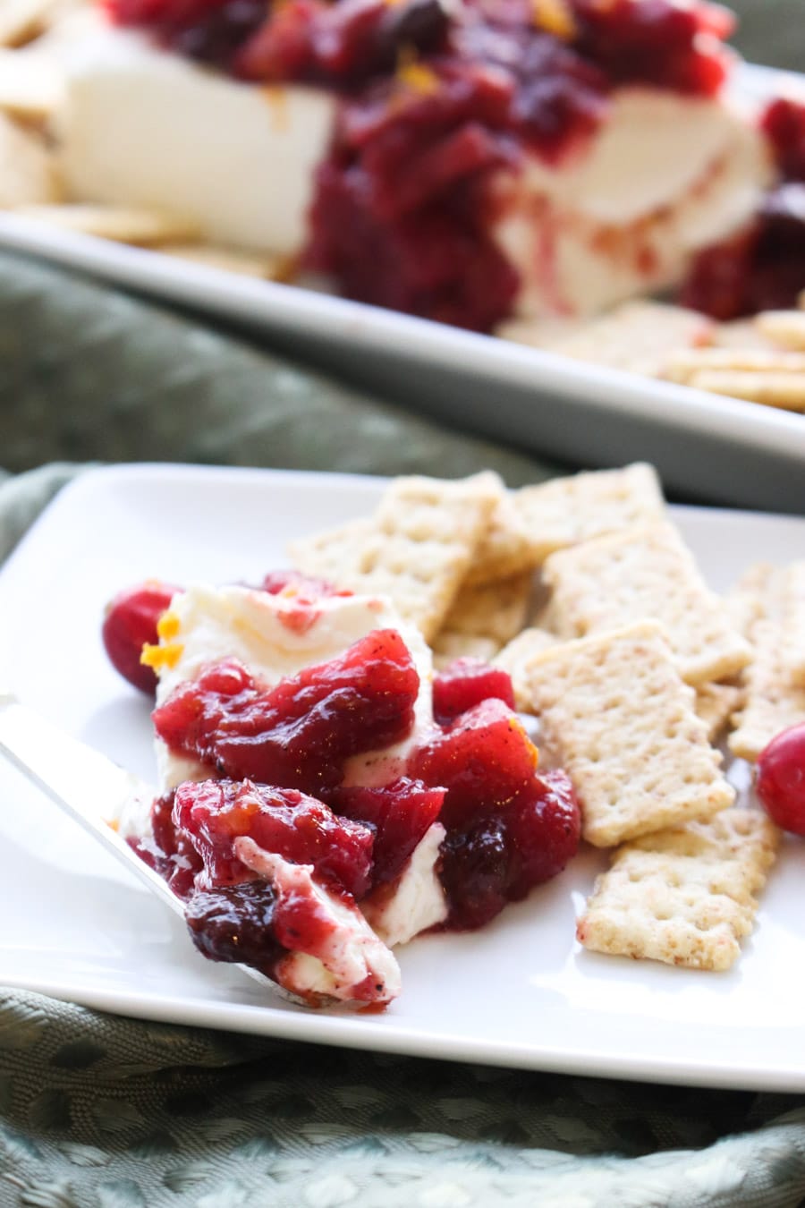 close up cranberry chutney