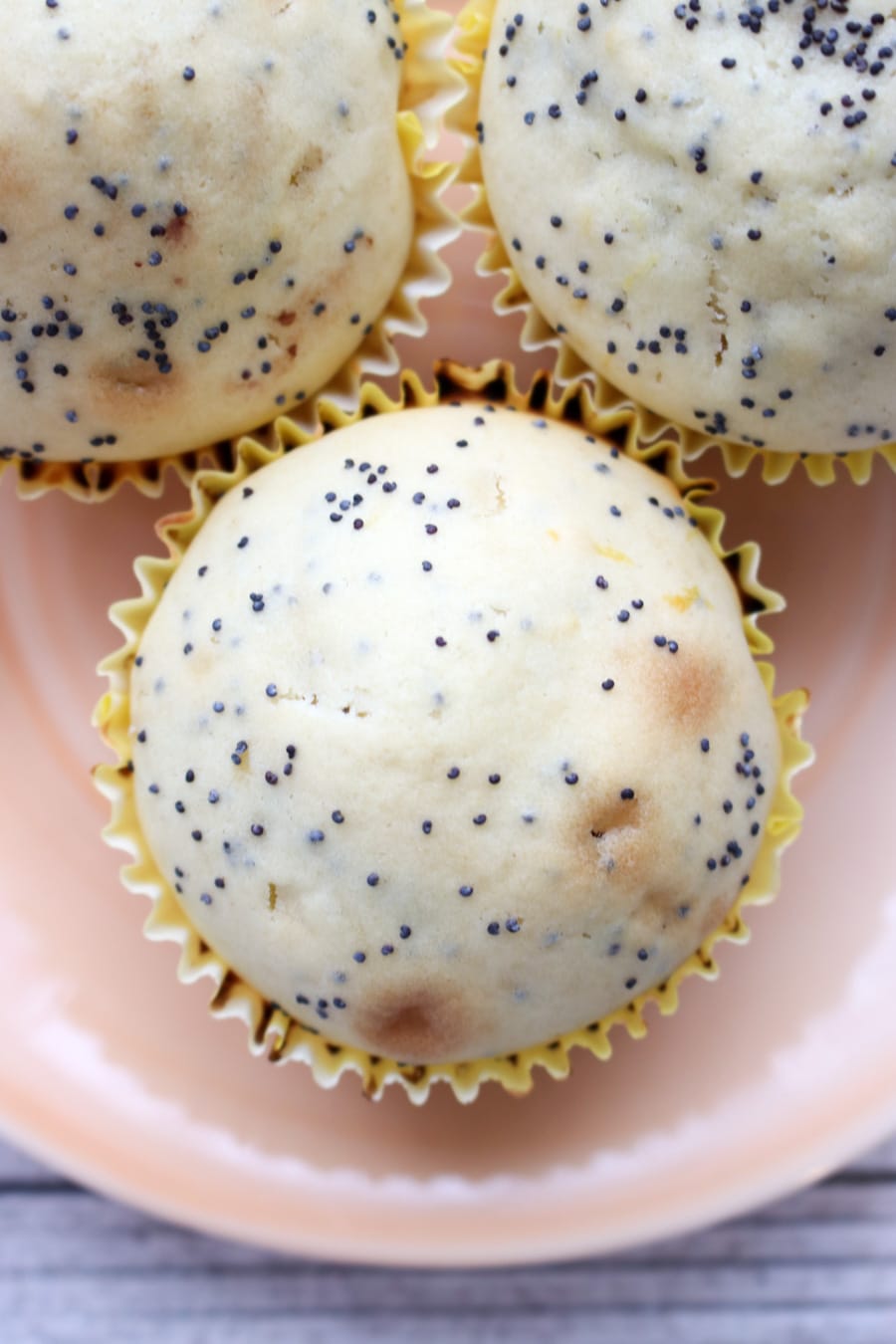 Lemon Poppy Seed Muffin