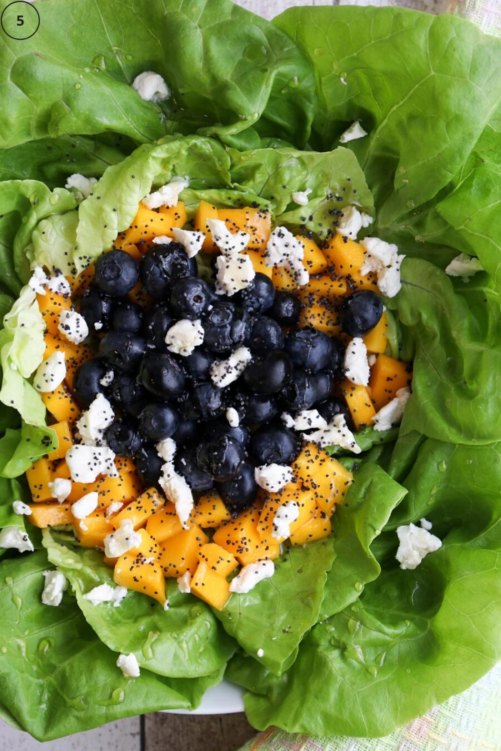 Photo of mango blueberry salad on a pate.