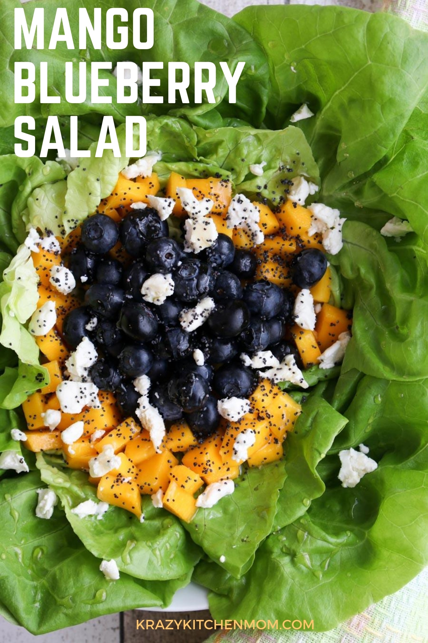 This salad is as beautiful to look at as it is to eat.  The freshness jumps off the plate with the bright juicy fruits and the tart goat cheese drizzled lightly with vinegar and olive oil.  via @krazykitchenmom