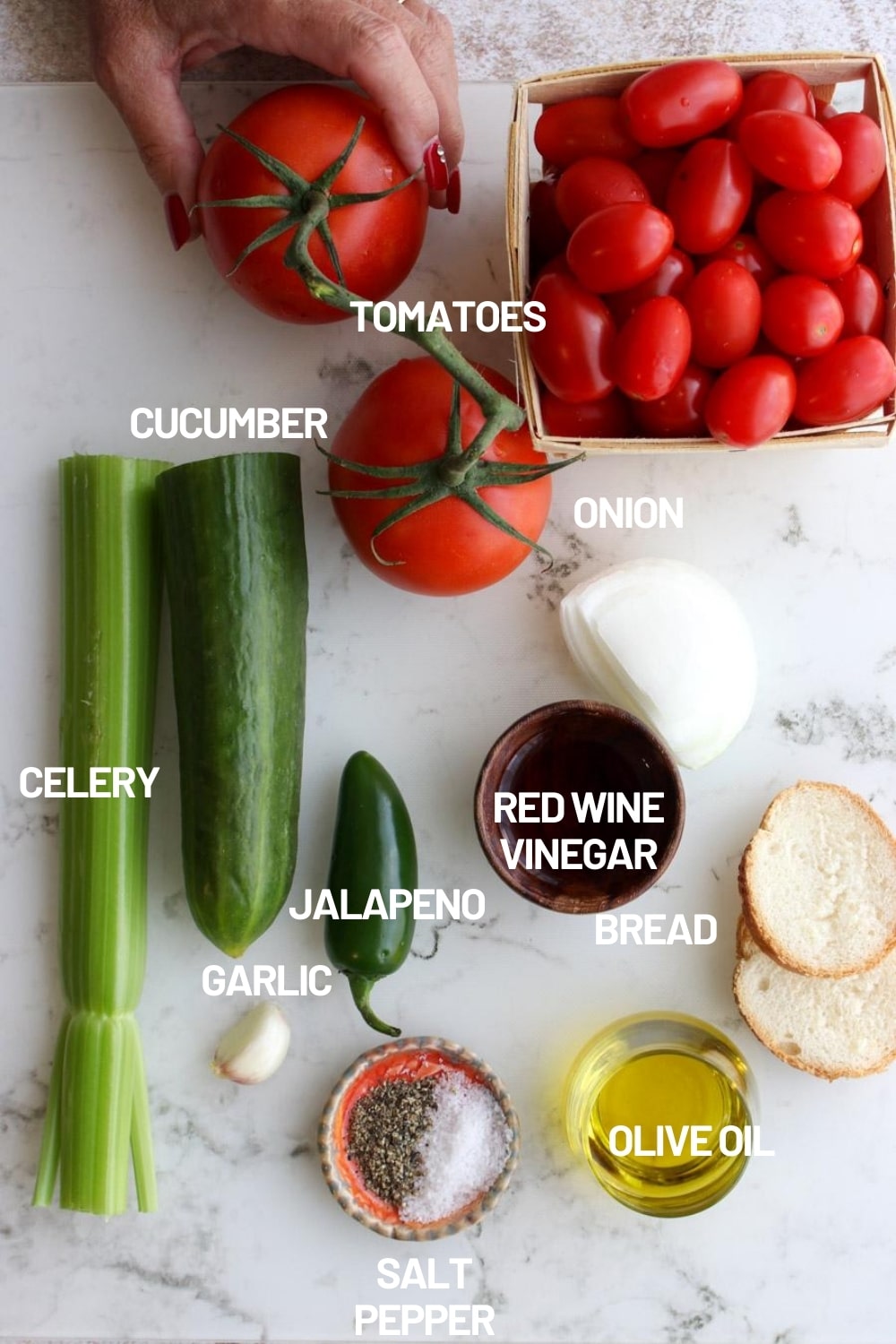 Photo of all of the gazpacho ingredients 