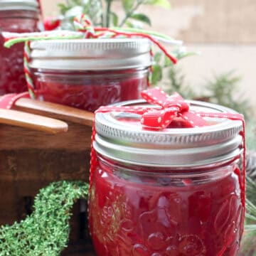 Close up of 1 jar of cranberry apple butter