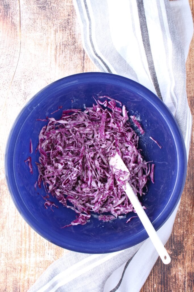 blue bowl with cabbage slaw