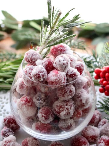 Round glass filled with sugared cranberries and 1 sugared rosemary sprig. Glass surrounded by greens