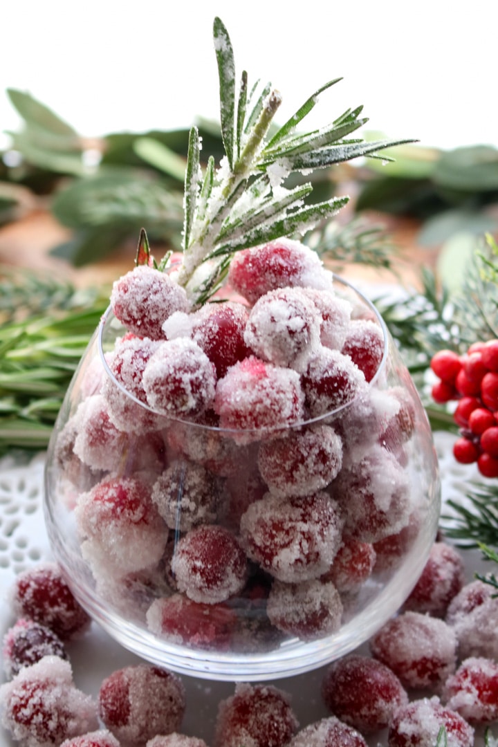 Round glass filled with sugared cranberries and 1 sugared rosemary sprig. Glass surrounded by greens