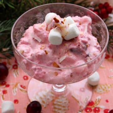 small dish of cranberry ambrosia salad