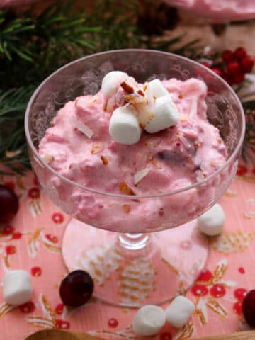 small dish of cranberry ambrosia salad