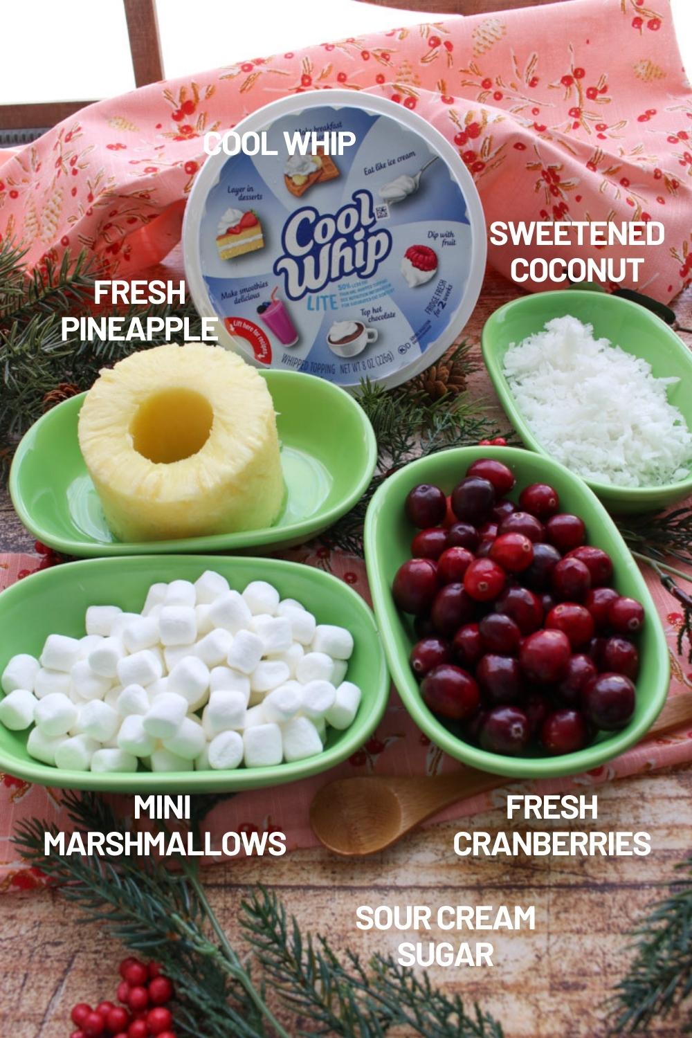 Ingredients to make cranberry ambrosia fruit salad