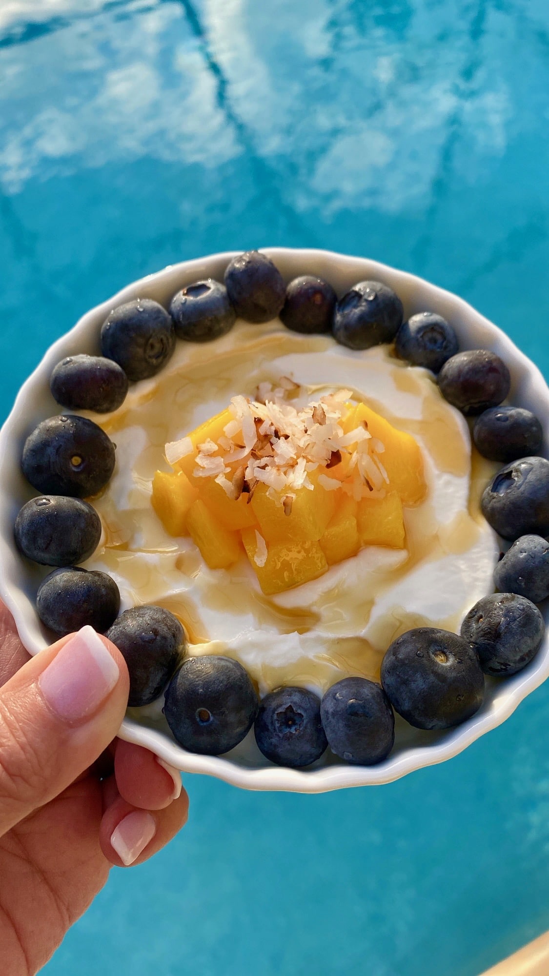 Mango Berry Yogurt