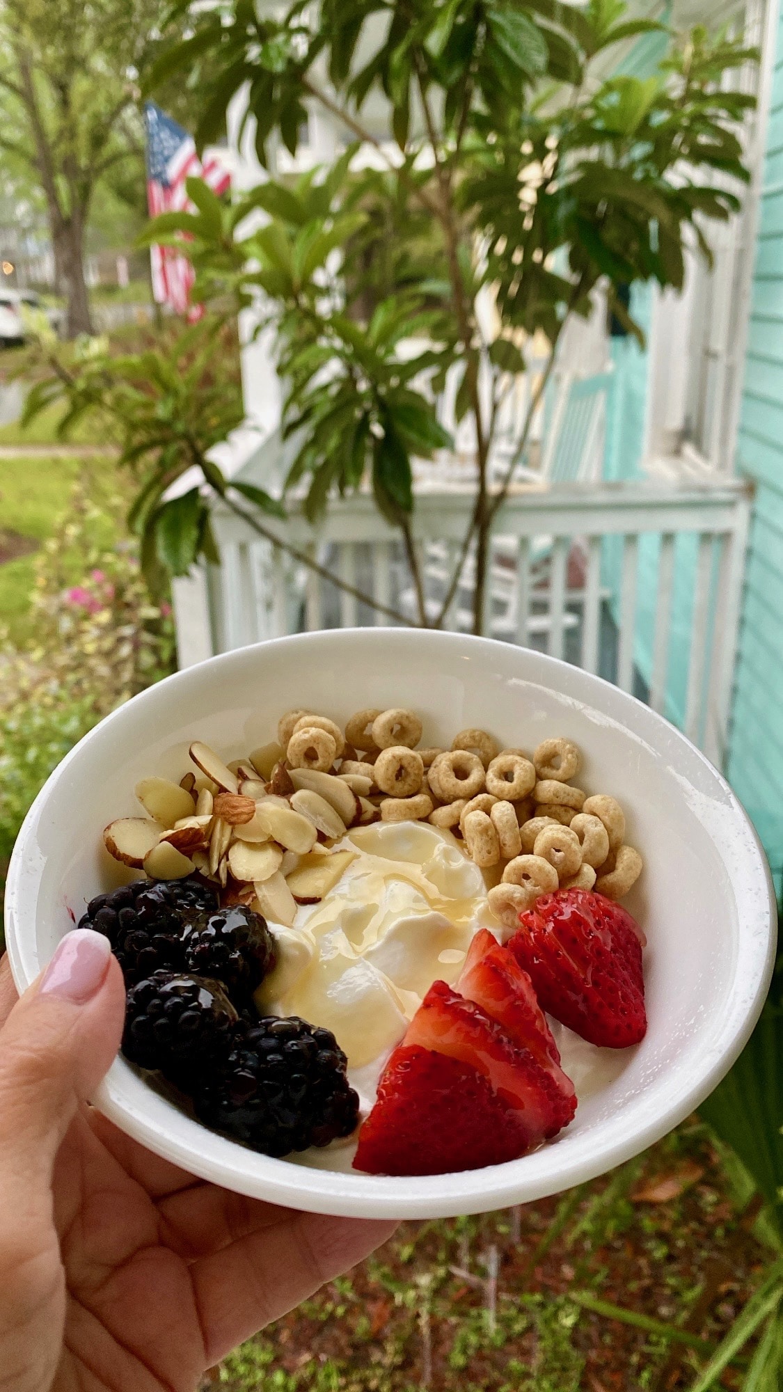 Cereal and Fruit Yogurt