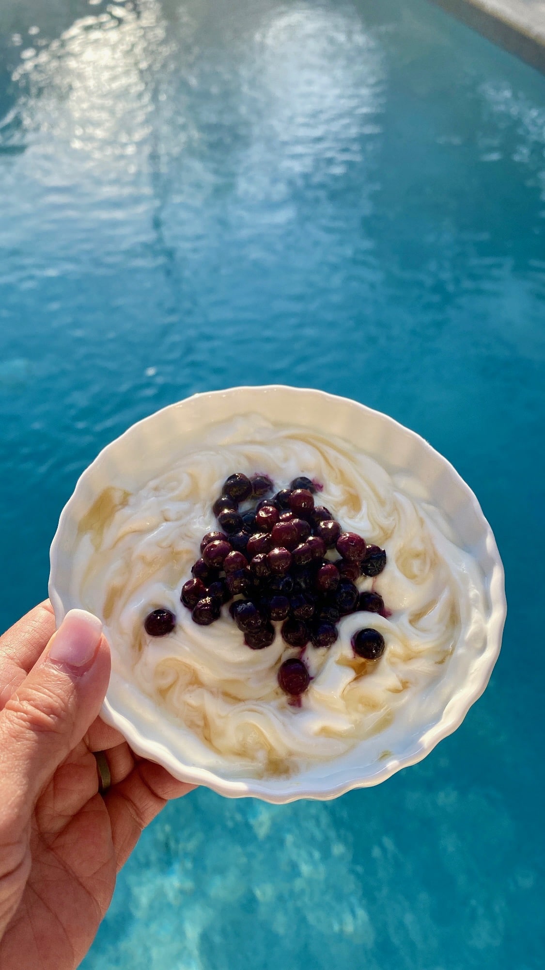 wild blueberry yogurt