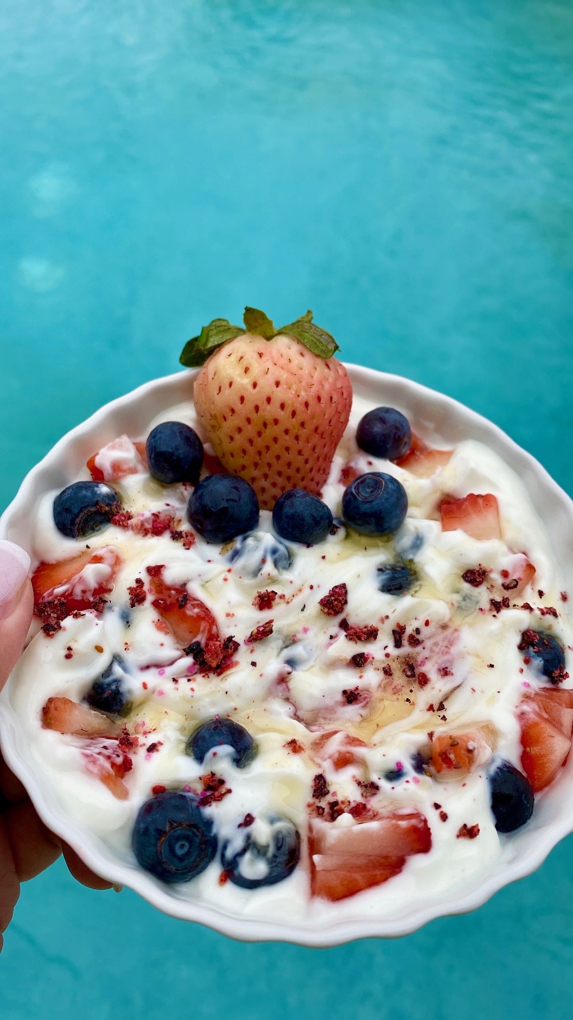 Berries and Yogurt