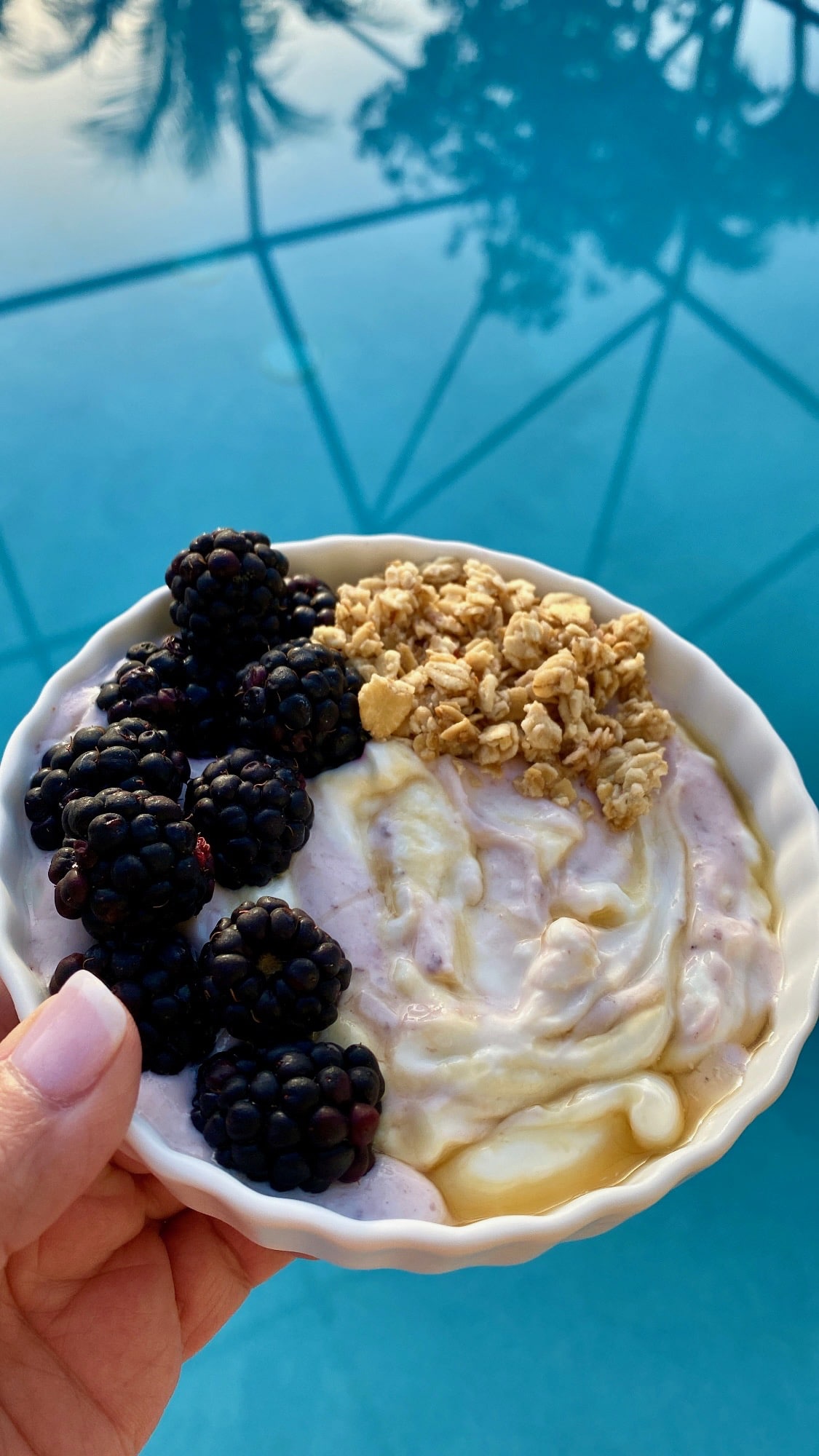 Blackberry Granola Yogurt