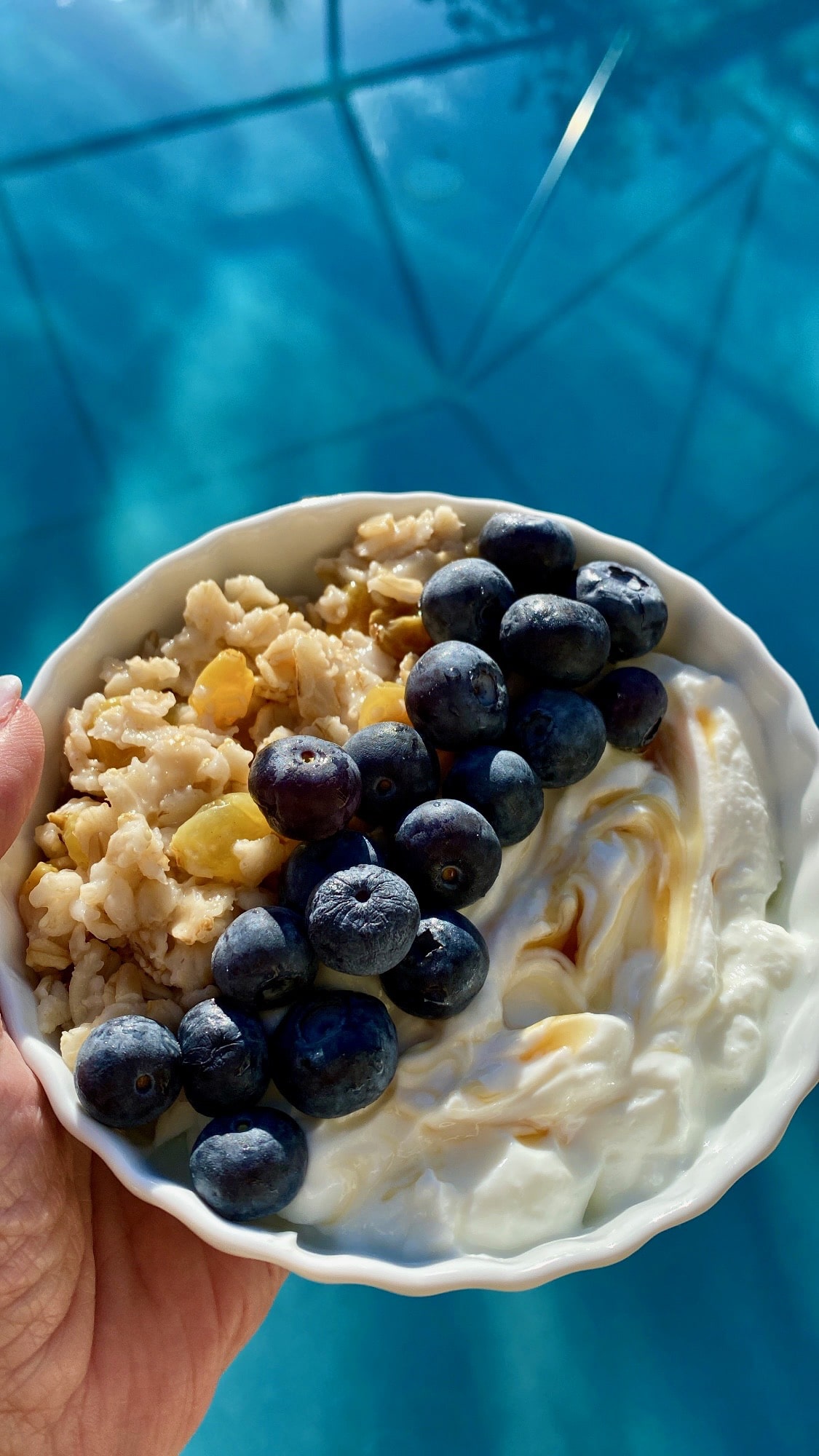 Oatmeal Yogurt