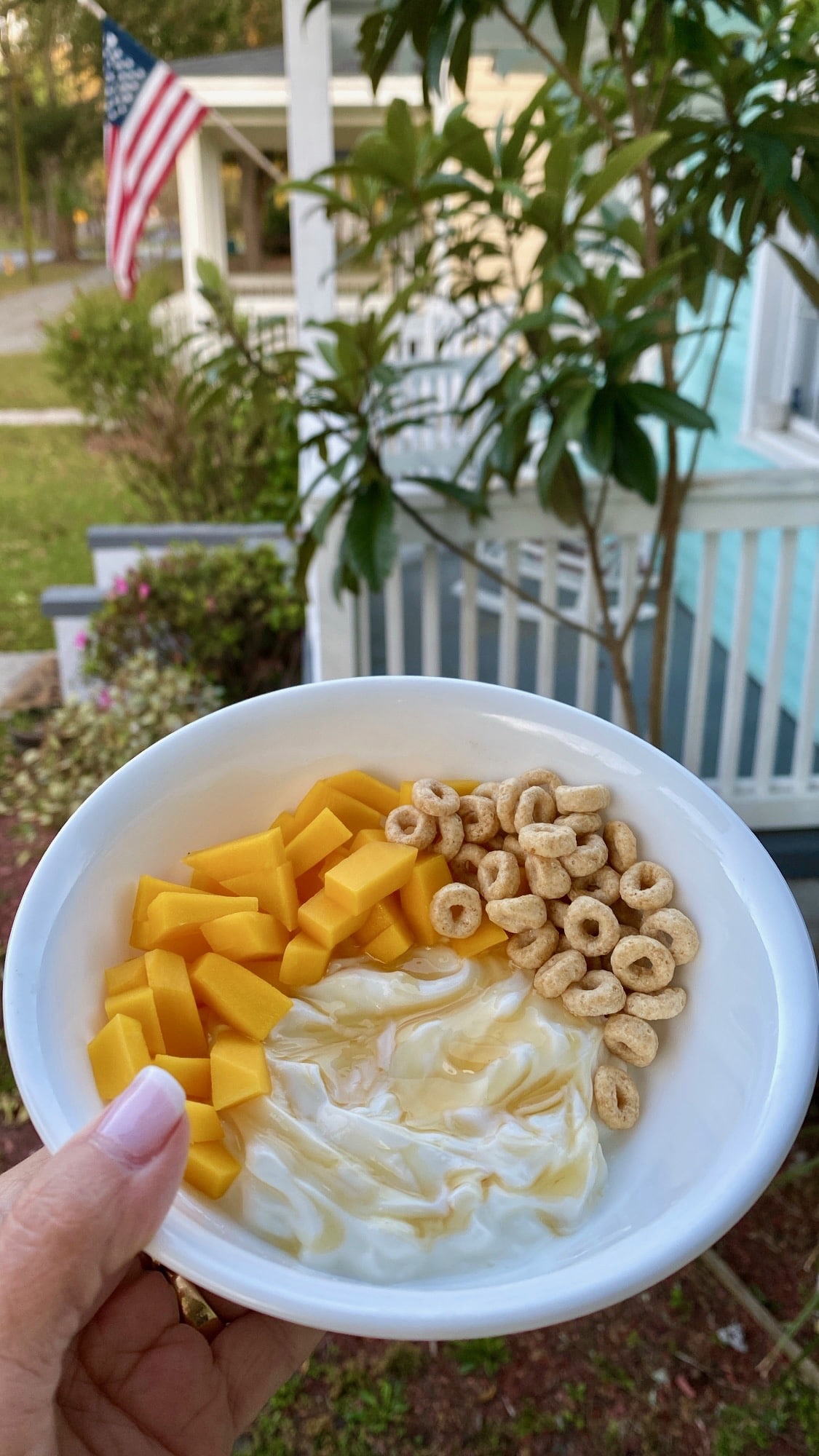 Mango Cereal Yogurt