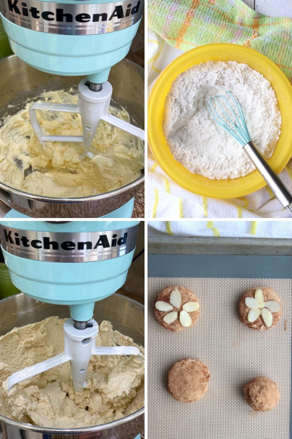 HOW TO MAKE SAND DOLLAR SNICKERDOODLE COOKIES