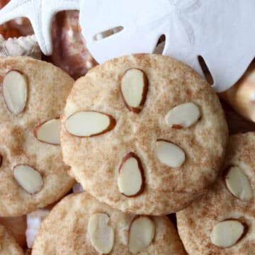 SNICKERDOODLE COOKIES IN A DISH WITH SHELLS