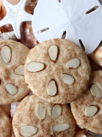 SNICKERDOODLE COOKIES IN A DISH WITH SHELLS