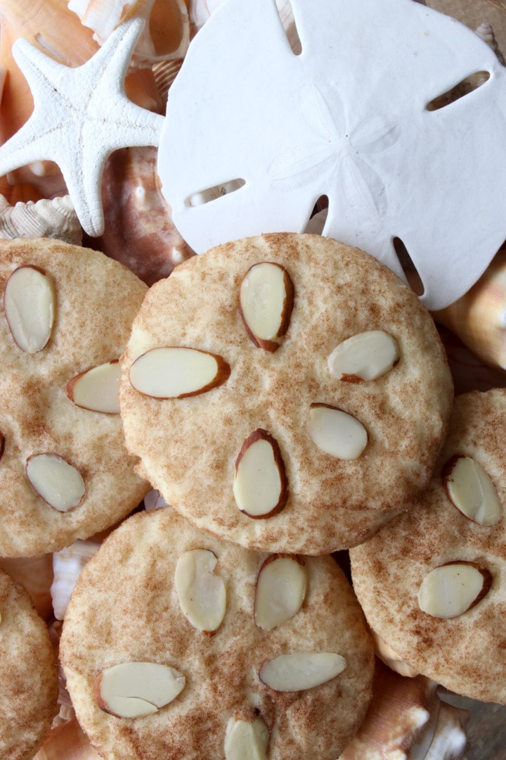 SNICKERDOODLE COOKIES IN A DISH WITH SHELLS