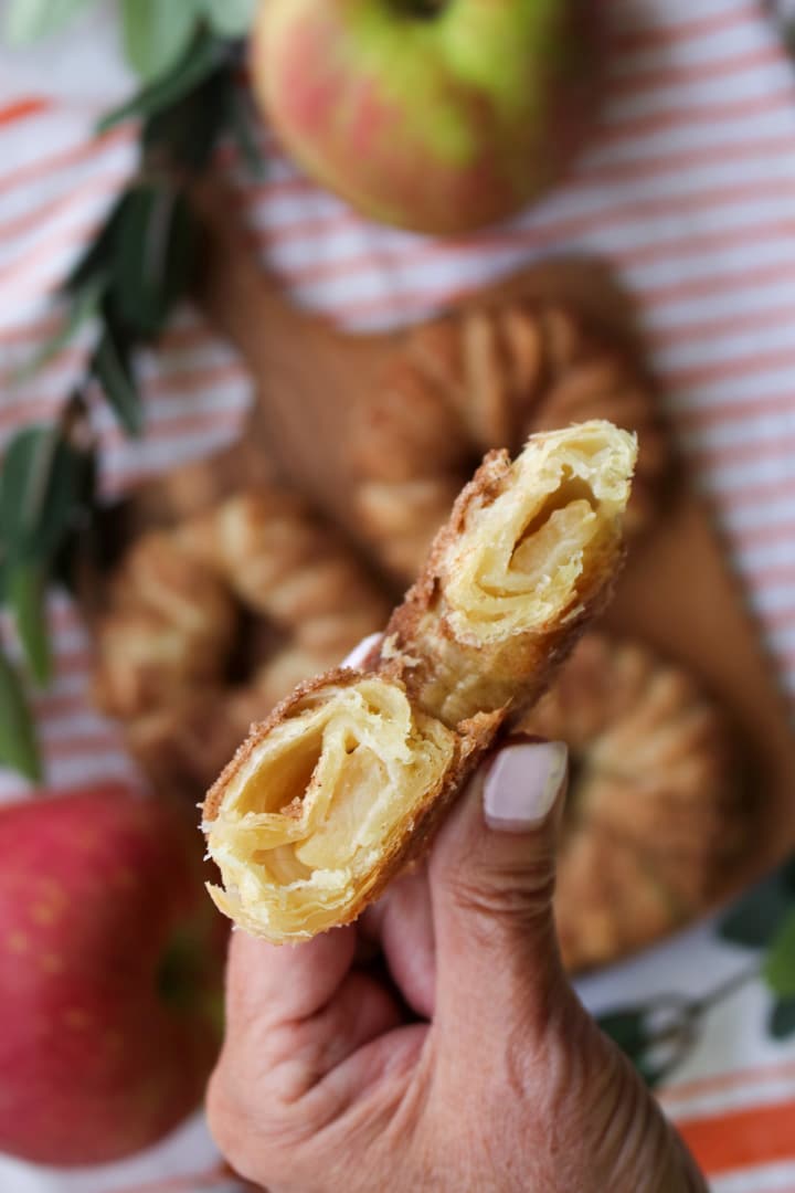 hand holding sliced apple ring