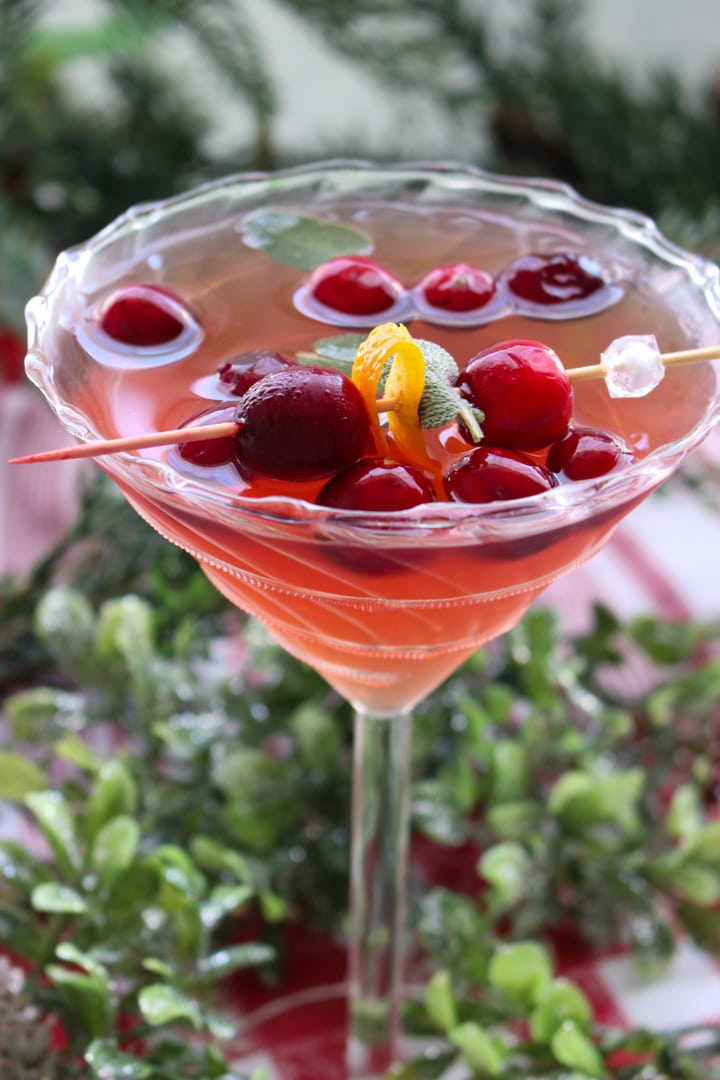 Cranberry Sage Martini in a fancy glass