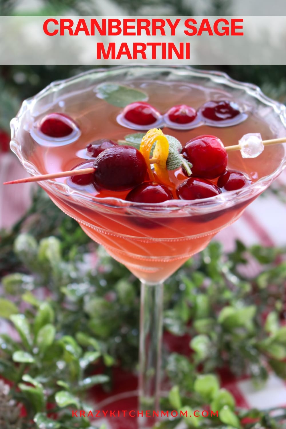 Cranberry Sage Martini - Krazy Kitchen Mom