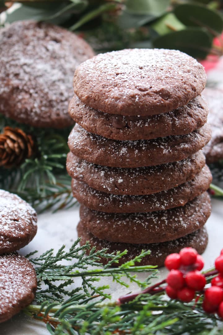 stack of 7 Mexican Hot Chocolate Cookies