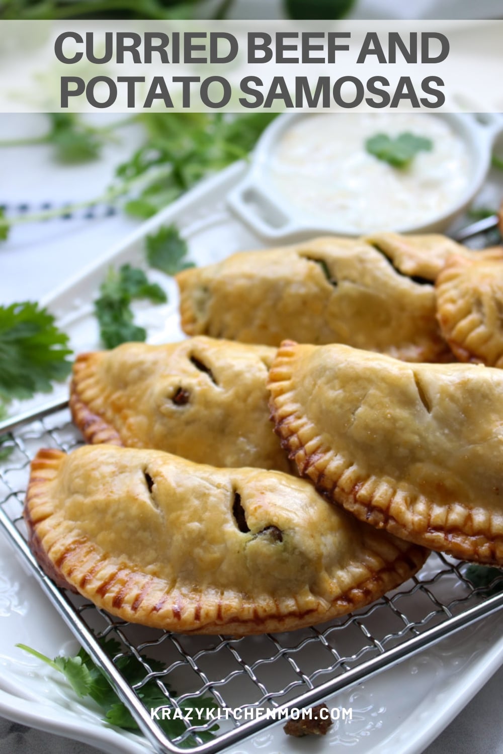 Tasty hand pies filled with medium-spice beef curry, potatoes, and peas. Served with a tangy spicy cool Greek yogurt sauce. via @krazykitchenmom