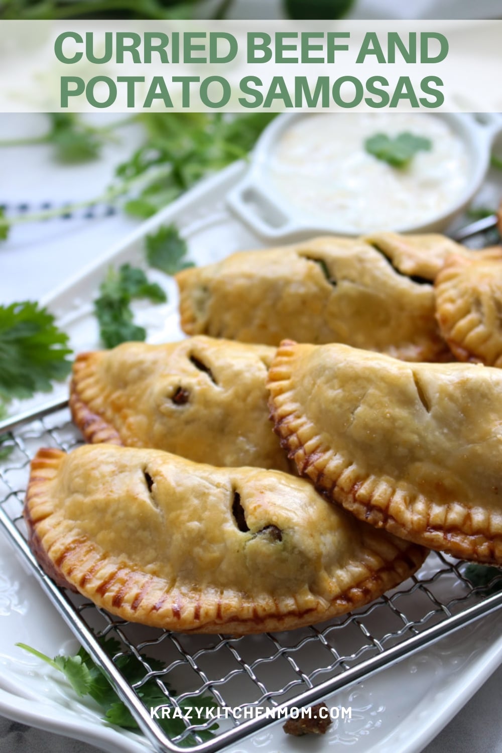 Tasty hand pies filled with medium-spice beef curry, potatoes, and peas. Served with a tangy spicy cool Greek yogurt sauce. via @krazykitchenmom