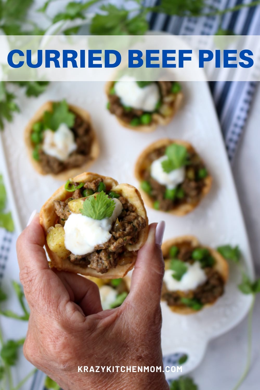 Tasty hand-held pies filled with medium-spice beef curry, potatoes, and peas. Served with a tangy spicy cool Greek yogurt sauce. via @krazykitchenmom