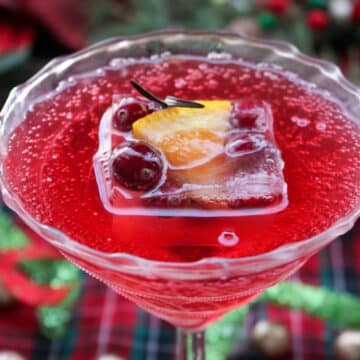 fancy martini glass with cranberry juice and fruit filled fancy ice cubes