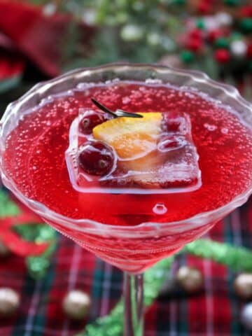 fancy martini glass with cranberry juice and fruit filled fancy ice cubes
