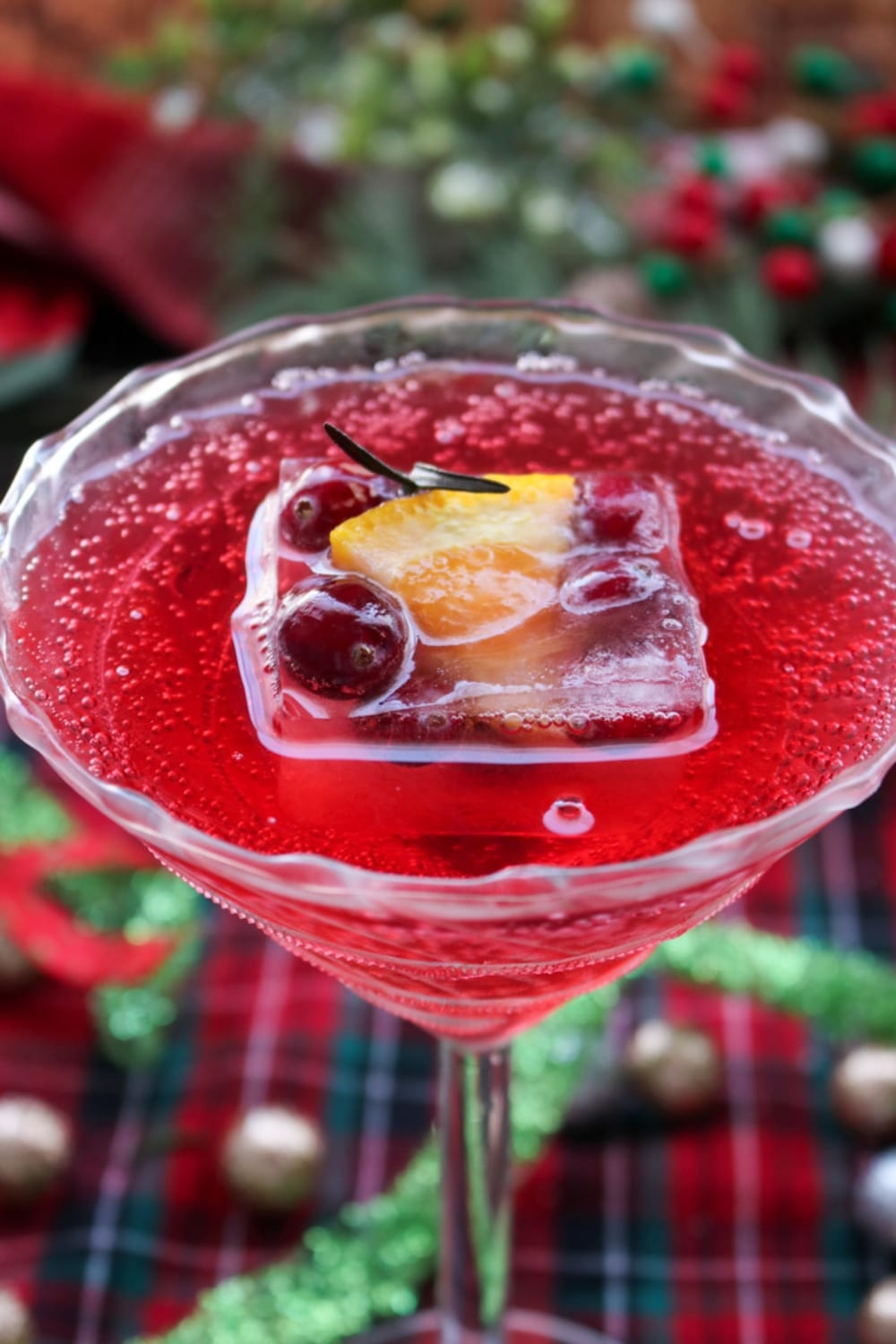 fancy martini glass with cranberry juice and fruit filled fancy ice cubes