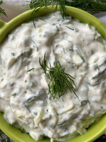 close up of bowl of tzatziki sauce