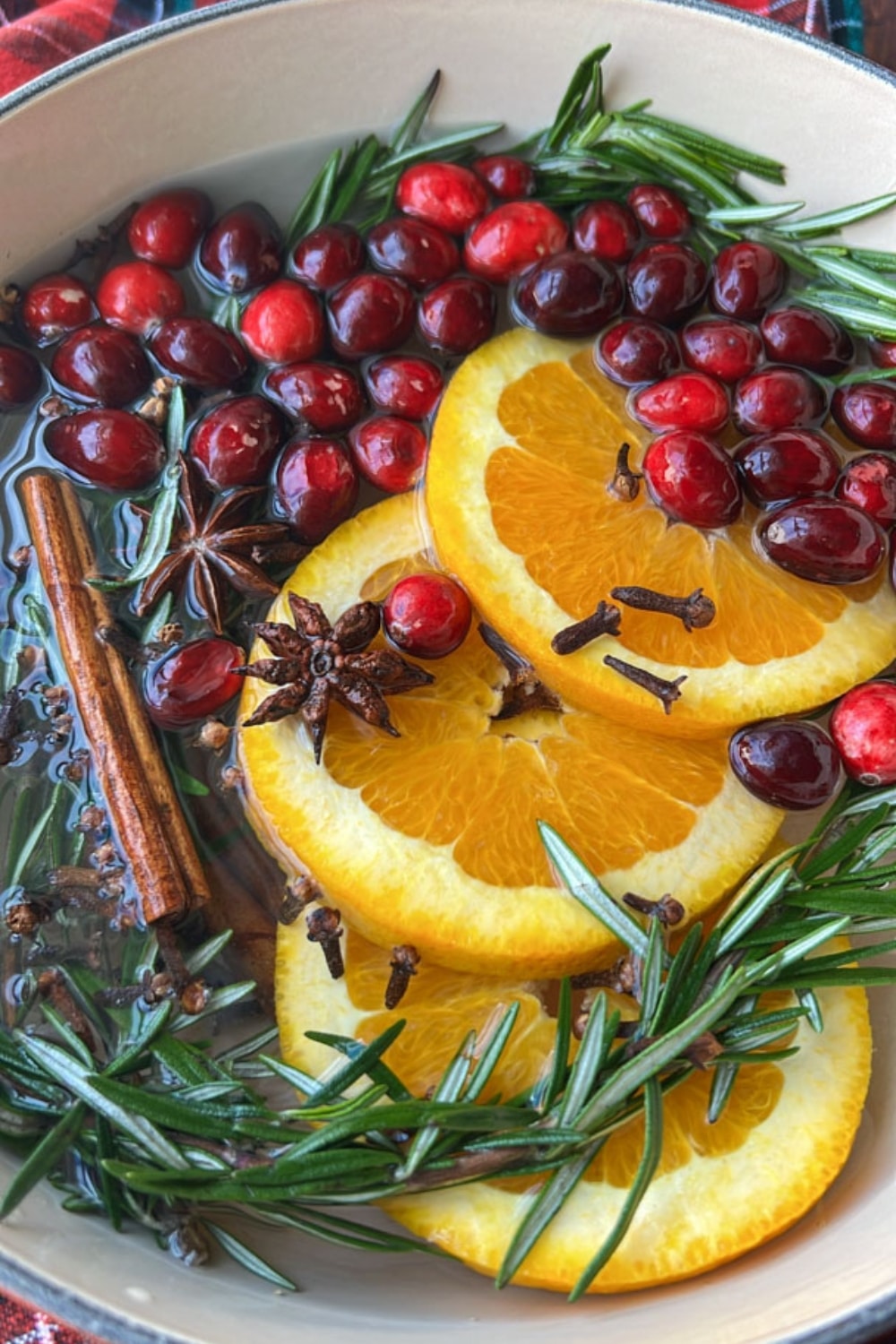 holiday simmer pot filled with ingredients and water