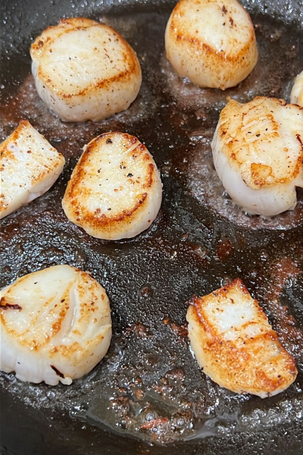 HOW TO MAKE LEMON BUTTER SCALLOPS 