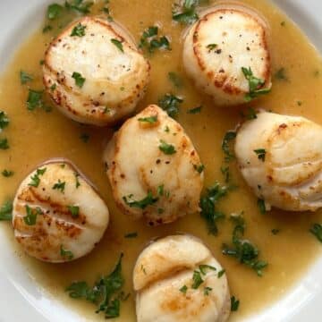 BOWL OF LEMON BUTTER SCALLOPS