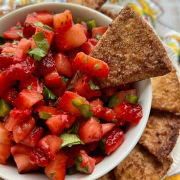 BOWL OF STRAWBERRY SALSA WITH CINNAMON CRISP