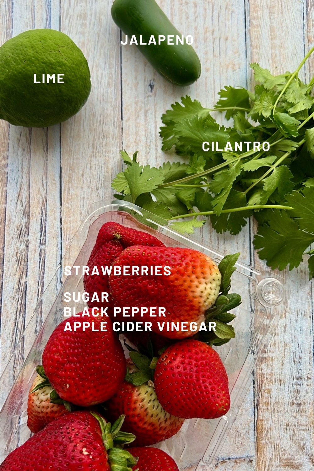 ingredient to make strawberry salsa